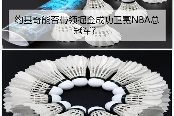 约基奇能否带领掘金成功卫冕NBA总冠军?